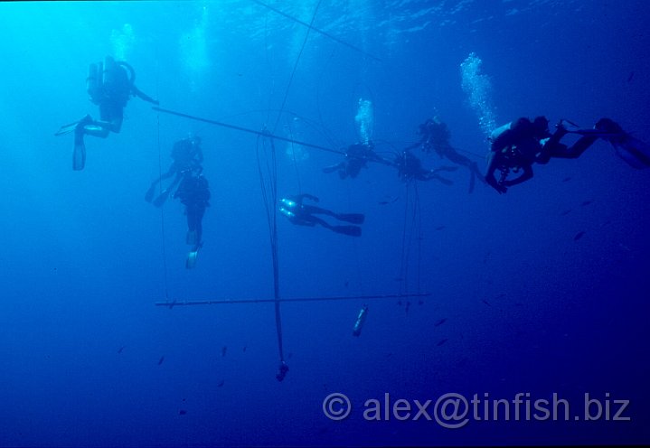 Deco 7.jpg - Hanging around on the deco trapeze